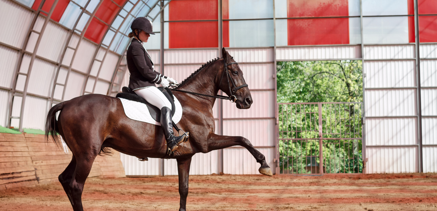 media.Offerta Riviera Horses